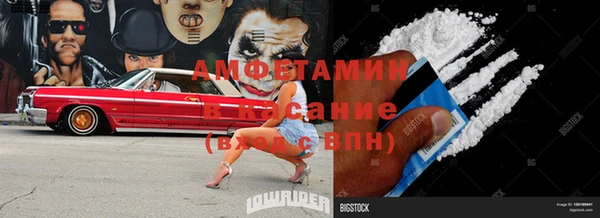 сатива Кулебаки
