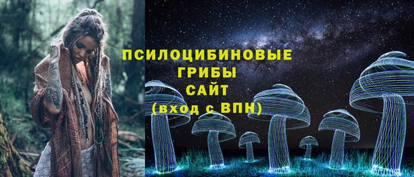 мяу мяу мука Кукмор