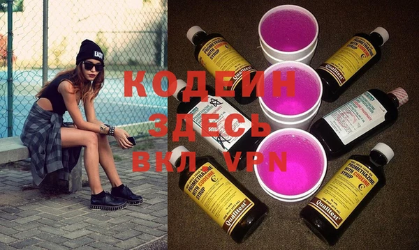 сатива Кулебаки