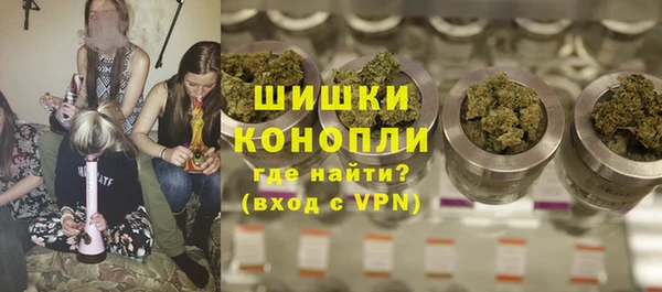 сатива Кулебаки