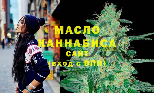 сатива Кулебаки