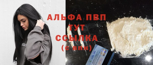 сатива Кулебаки