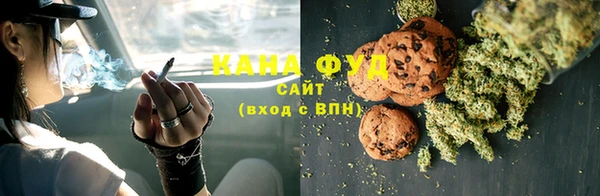 сатива Кулебаки