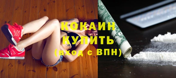 сатива Кулебаки