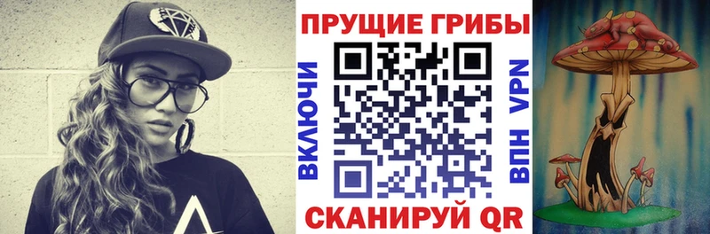 kraken как войти  Артём  маркетплейс Telegram  Галлюциногенные грибы MAGIC MUSHROOMS 